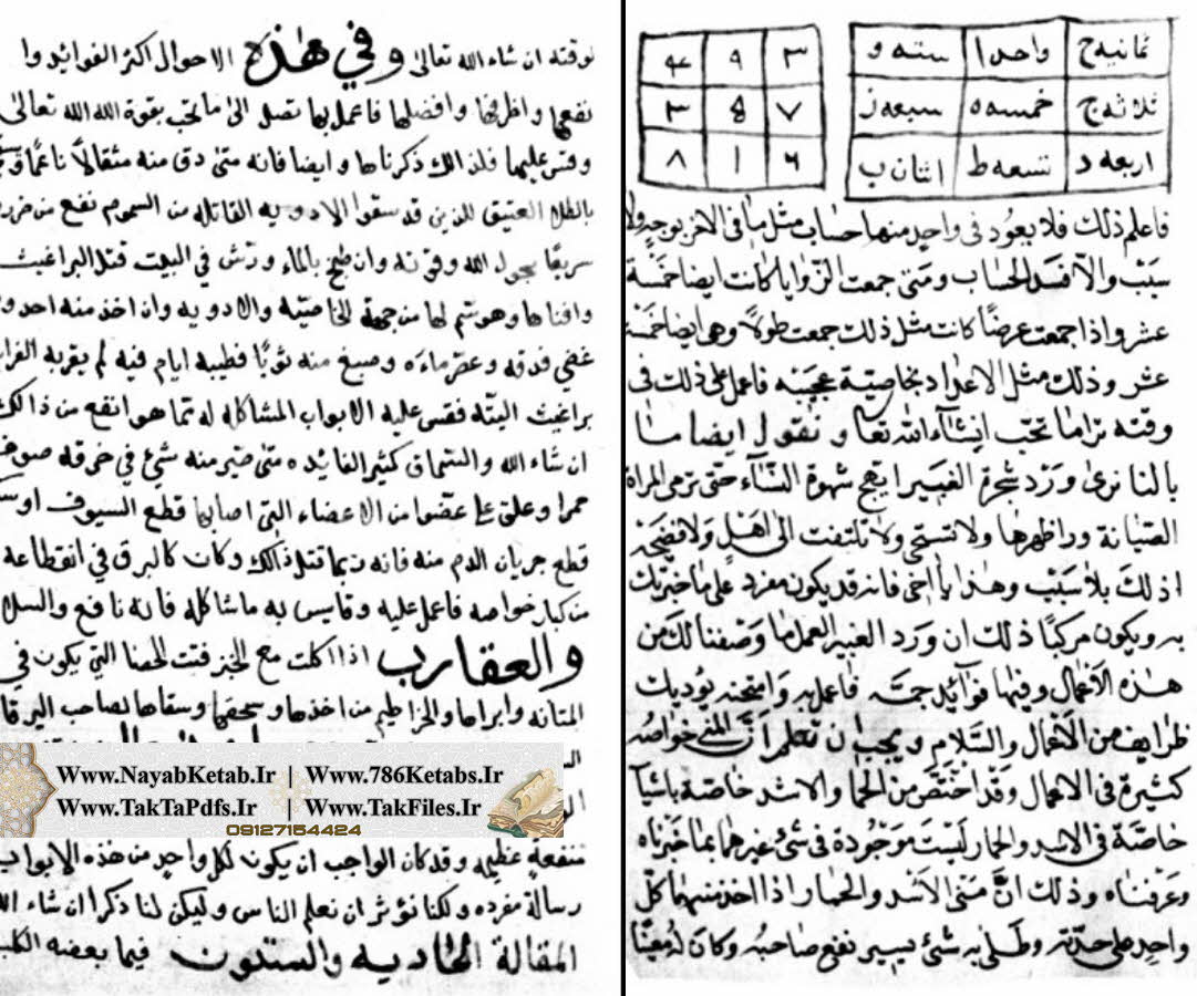 کتاب الجامع فی خواص الاشیاء المسمی
